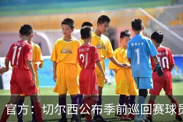 官方：切尔西公布季前巡回赛球员号码，帕莱斯特拉身披2号